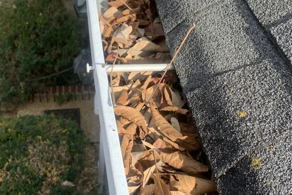 Gutter Cleaning Newcastle OK